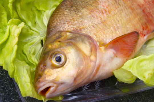 Der Fisch