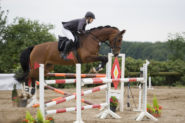 Springreiten