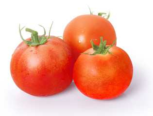 Tomato on a white background