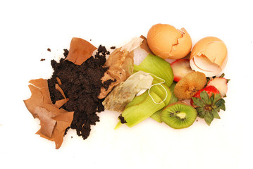 Organic waste white background