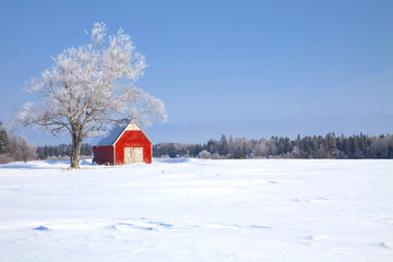 Winter Barn