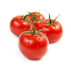 Red tomatoes on the green branch