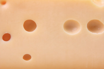 cheese