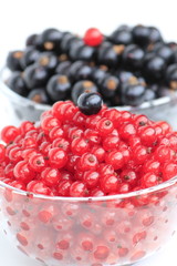 Beeren