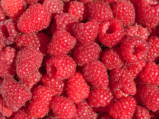 Himbeeren - Rubus idaeus