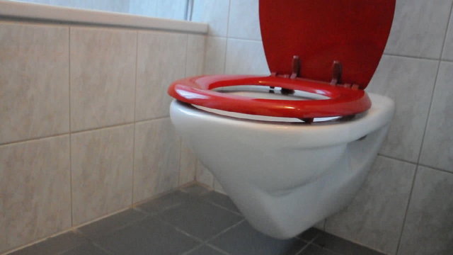 Toilette