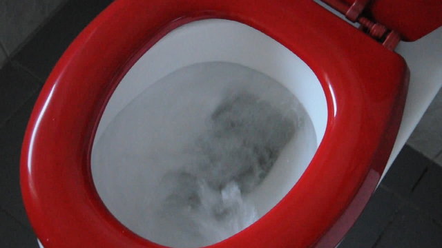 Toilette