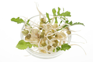 Graines germées- SOJA