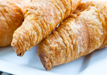 fresh croissant