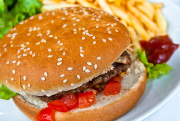 Cheese burger - American cheese burger with fresh salad