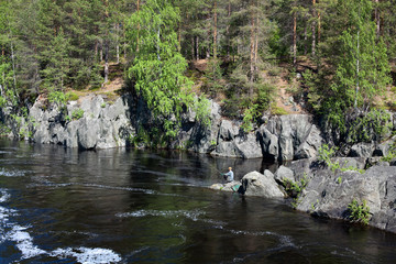 Naklejka na ściany i meble Fisherman cathing ryba siedzi na skały w rzece