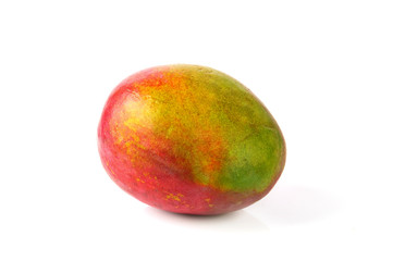 Fresh mango fruit