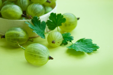 Gooseberries with leaves