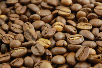 Roasted coffee beans