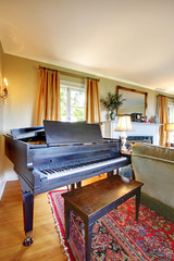 Piano grand black in the living room