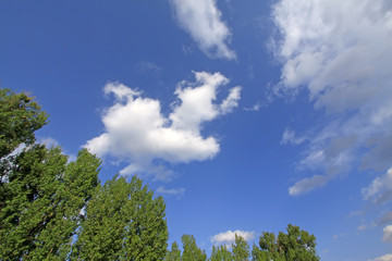 Obraz premium blue sky and white clouds