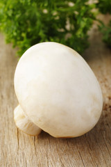 mushroom and parsley