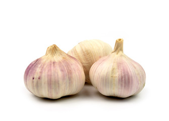 garlic isolated