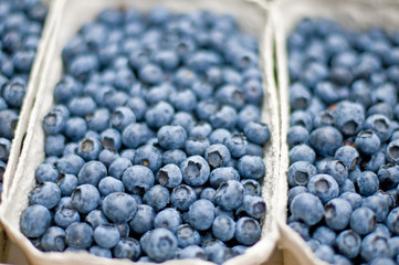 Blauberen