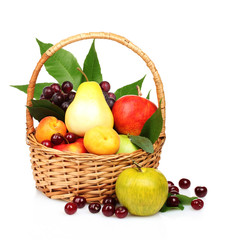 tasty summer fruits in backet isolated on white