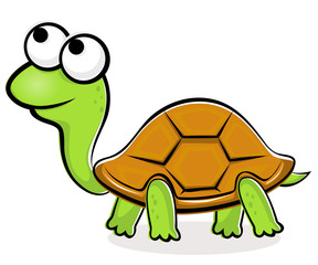 Turtle cartoon