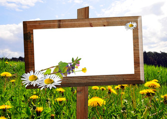 Holz Schild Tafel Kräuter Blumen Wiese