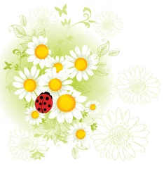 Poster Kamille bloemen achtergrond © lindwa