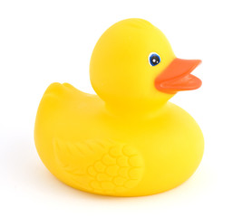 yellow rubber duck