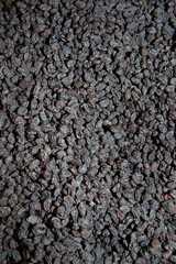 black dried grapes raisin