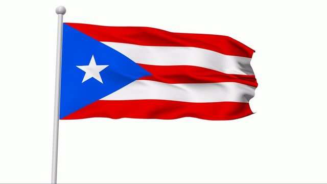 Fahne Puerto Rico PAL