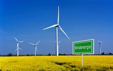Windenergie mit Rapsfeld
