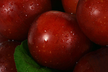 red plums close up