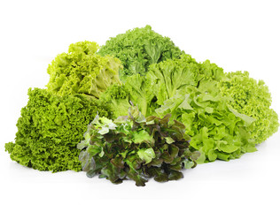 Obraz premium Lettuce on a white background