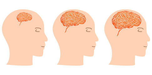 head profile with brain isolated on white background