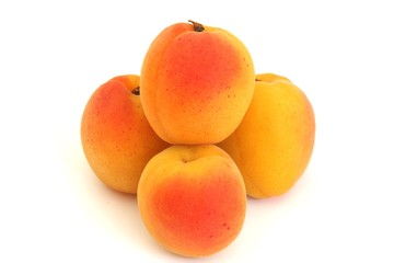 albicocche