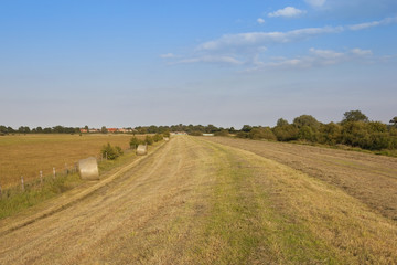 Obraz premium summer landscape 3