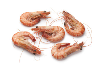Whole cooked shrimps