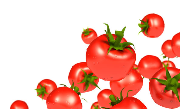 Tomates sur fond blanc 1