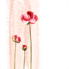Romantic flower background - 33597142