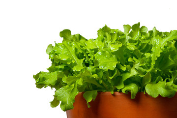 Salat in terracotta bowl