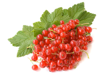 redcurrant