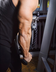 Obraz premium Simulator for triceps