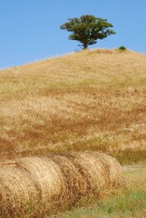 crete senesi - rotoballe