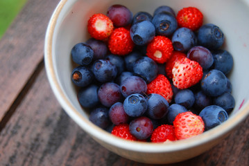 Fresh forest bilberries and wild strawberries in the cup