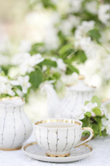 Obraz na płótnie Canvas Tea in the blossoming garden