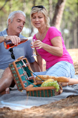 senior couple having picnic in the park