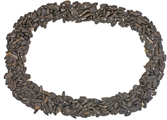 Frame of fresh sunflower seeds