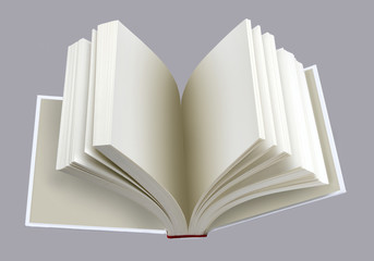 Open plain book, isolated on gray