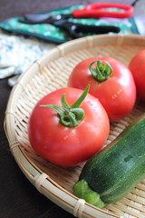 家庭菜園で収穫したトマトとズッキーニ