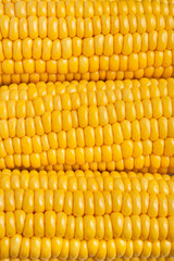 corn